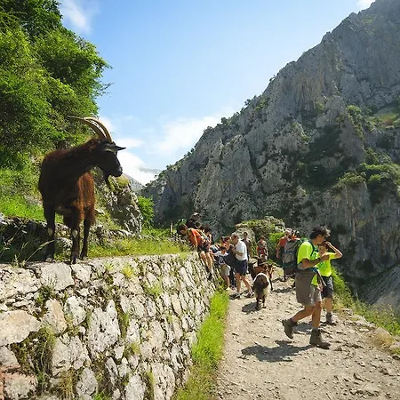 Arcea Mirador De Cabrales Hotel 2*