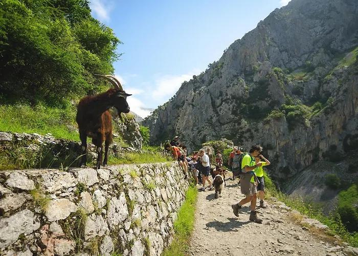 Hotel Arcea Mirador De Cabrales 2*